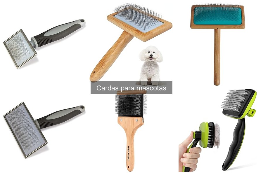 Guía para elegir la carda adecuada para tu mascota