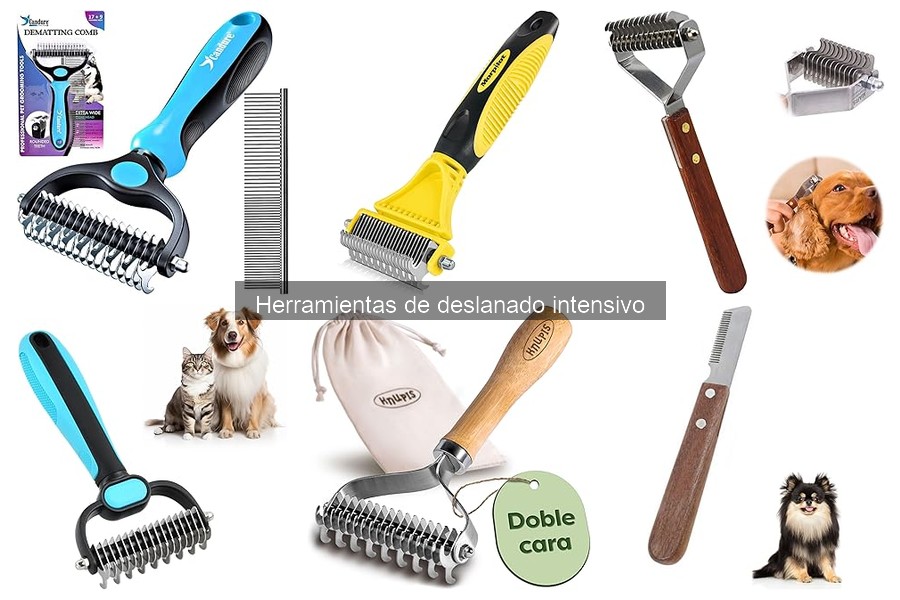 Guía para elegir la mejor herramienta de deslanado intensivo