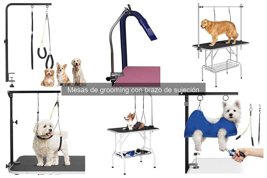 Guía para elegir la mejor mesa de grooming con brazo ajustable