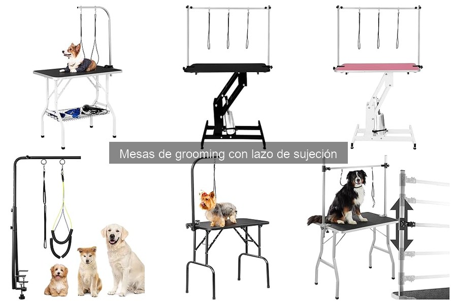 Guía para elegir la mejor mesa de grooming con lazo de sujeción