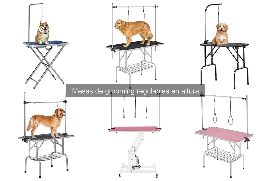 Guía para elegir la mejor mesa de grooming regulable