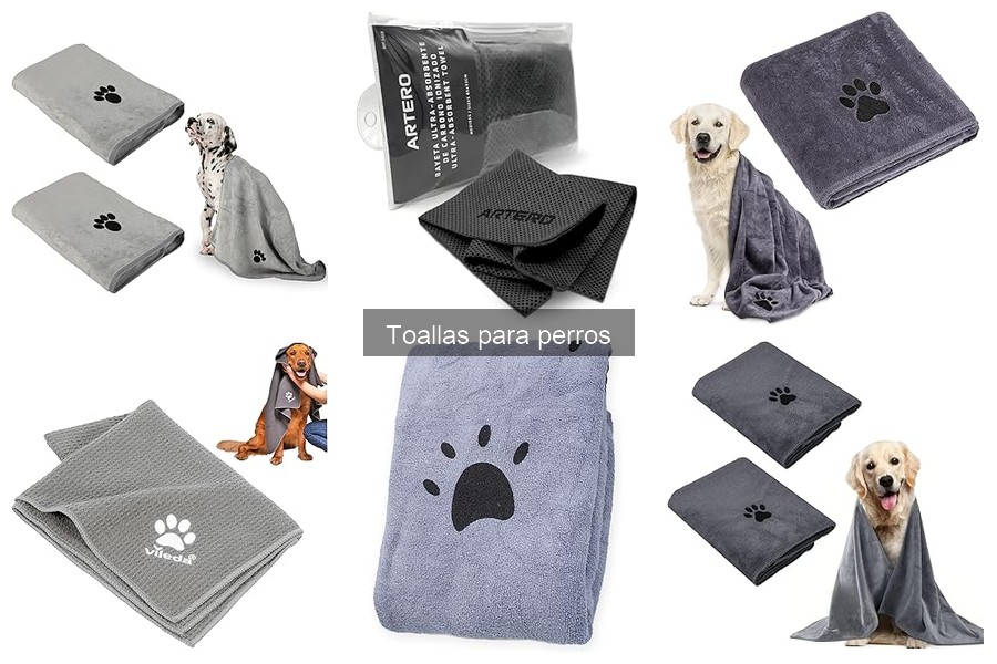 Guía para elegir las mejores toallas para perros