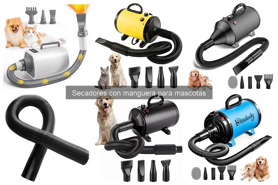 Guía para elegir secadores con manguera para mascotas