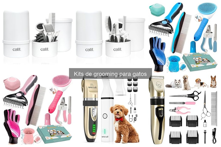 Guía para Usar Kits de Grooming para Gatos de Forma Efectiva