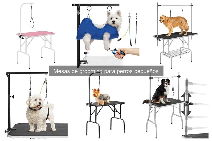 Importancia del grooming regular para perros pequeños