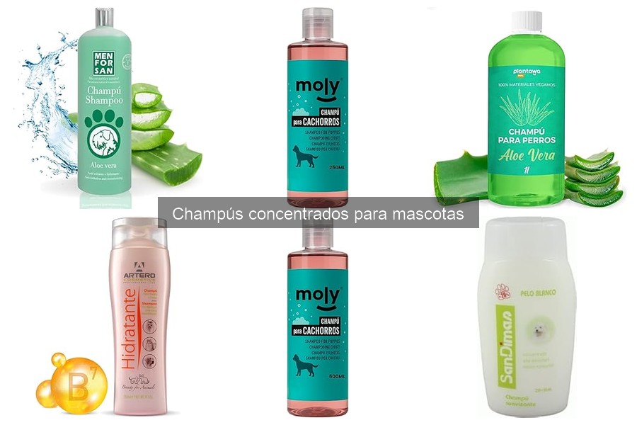 Ingredientes a Evitar en Champús Concentrados para Mascotas