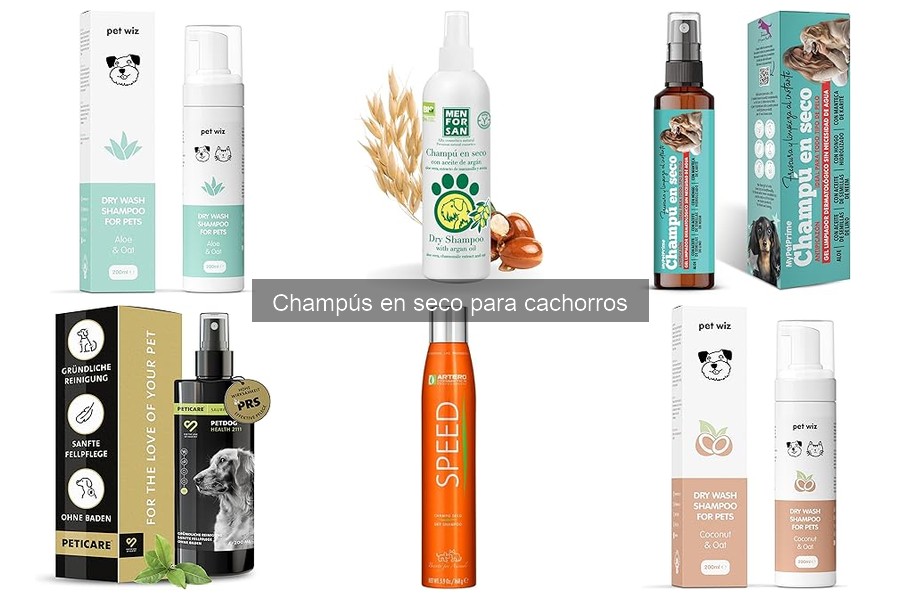 Ingredientes a evitar en champús en seco para cachorros