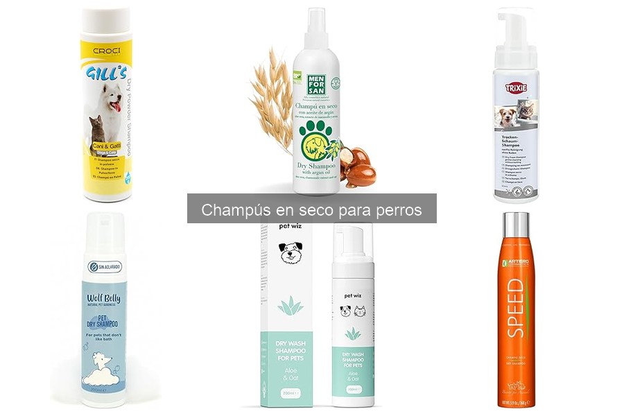 Ingredientes a Evitar en Champús en Seco para Perros