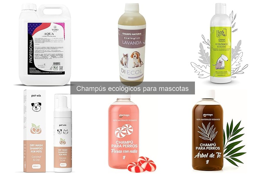 Ingredientes Esenciales en Champús Ecológicos para Mascotas