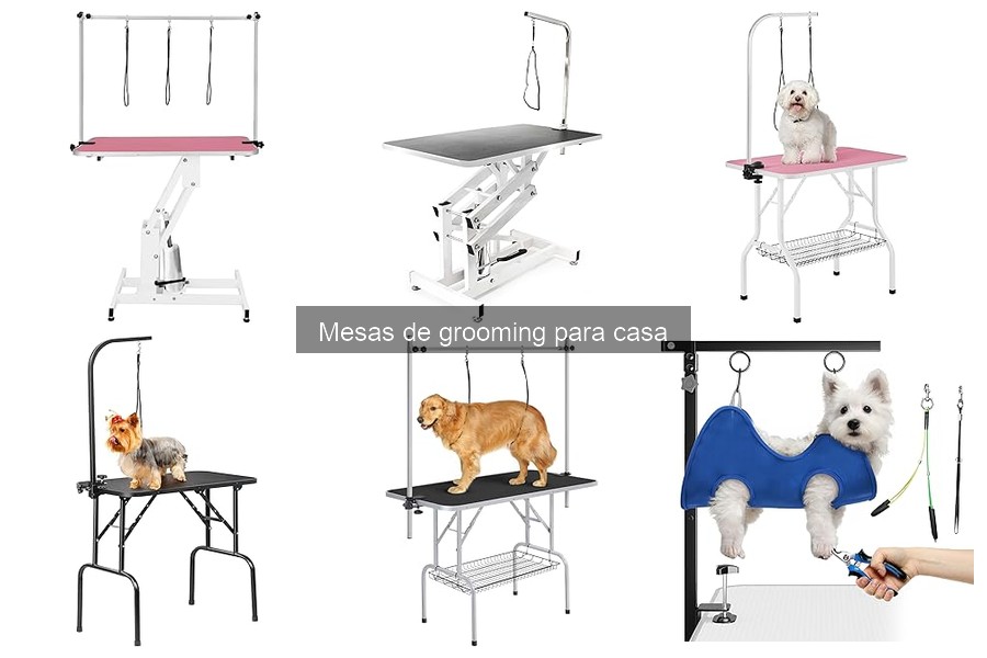 Instalación de una Mesa de Grooming en Casa: Guía Práctica
