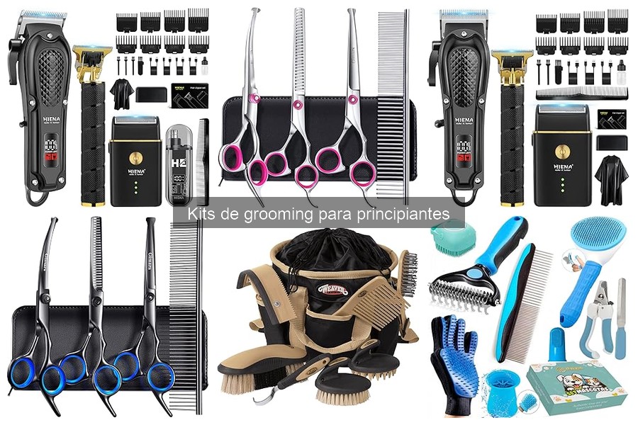 Kit de grooming personalizado: ¿Qué incluir para tu mascota?