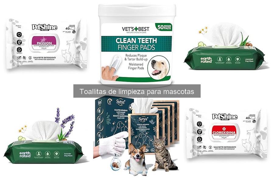 Las Mejores Toallitas de Limpieza para Perros en 2023