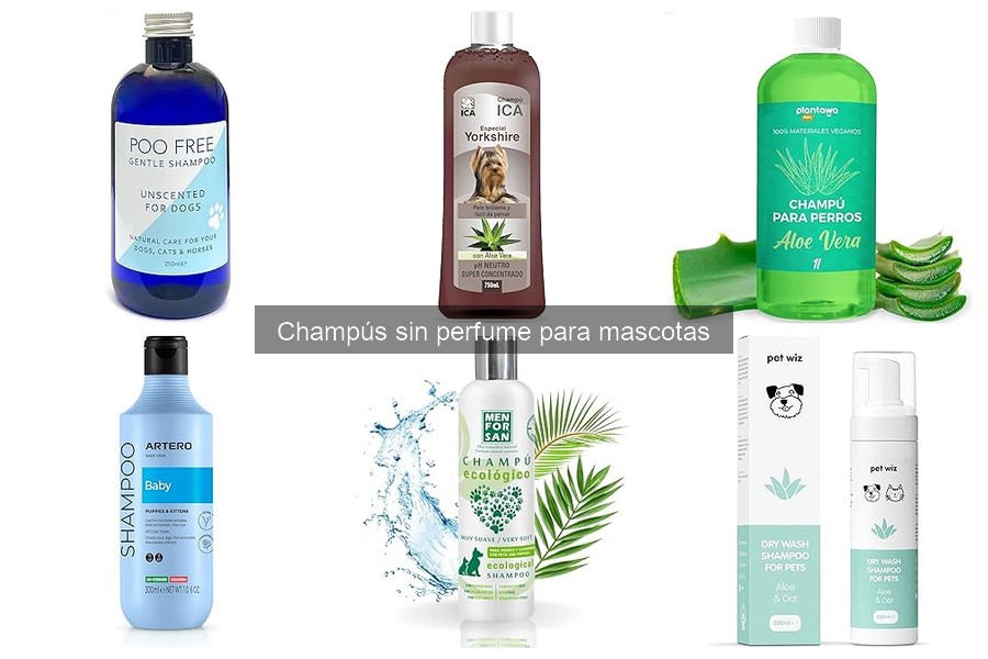Los mejores champús sin perfume para gatos: comparativa 2023