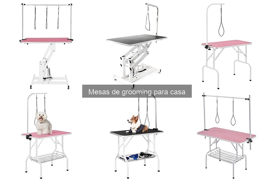 Mantén Limpia tu Mesa de Grooming: Consejos y Mantenimiento