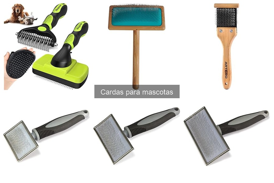 Mantenimiento de cardas para mascotas: limpieza y cuidado