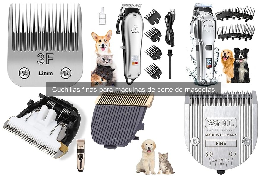 Mantenimiento de cuchillas finas para máquinas de corte