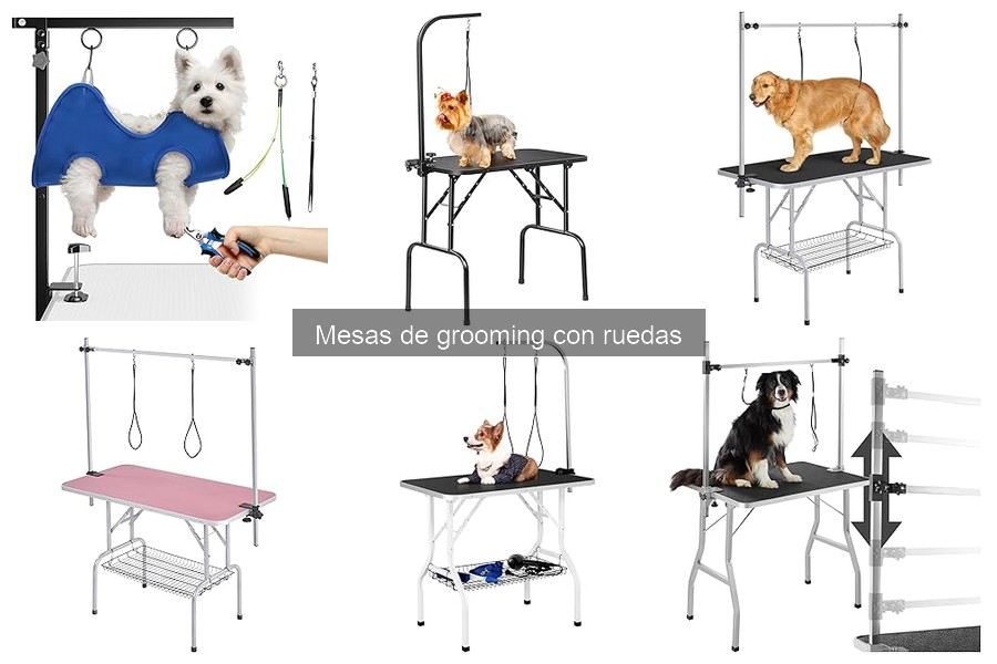 Mantenimiento de mesas de grooming con ruedas: consejos útiles