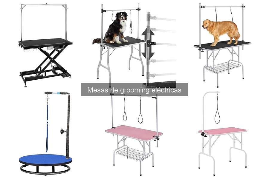 Mantenimiento de mesas de grooming eléctricas: Guía completa