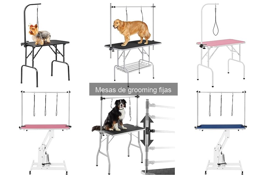Mantenimiento de mesas de grooming fijas: consejos prácticos