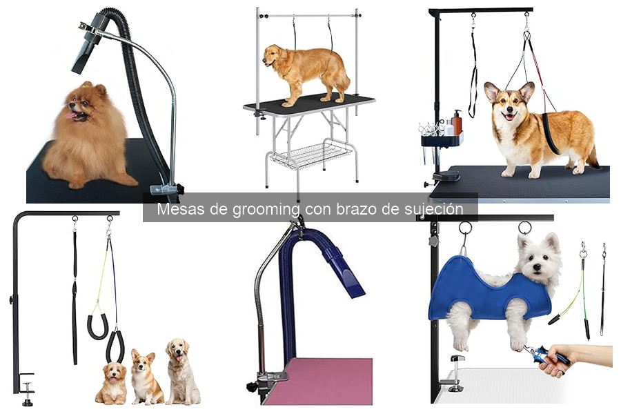 Mantenimiento de Mesas de Grooming: Guía Práctica