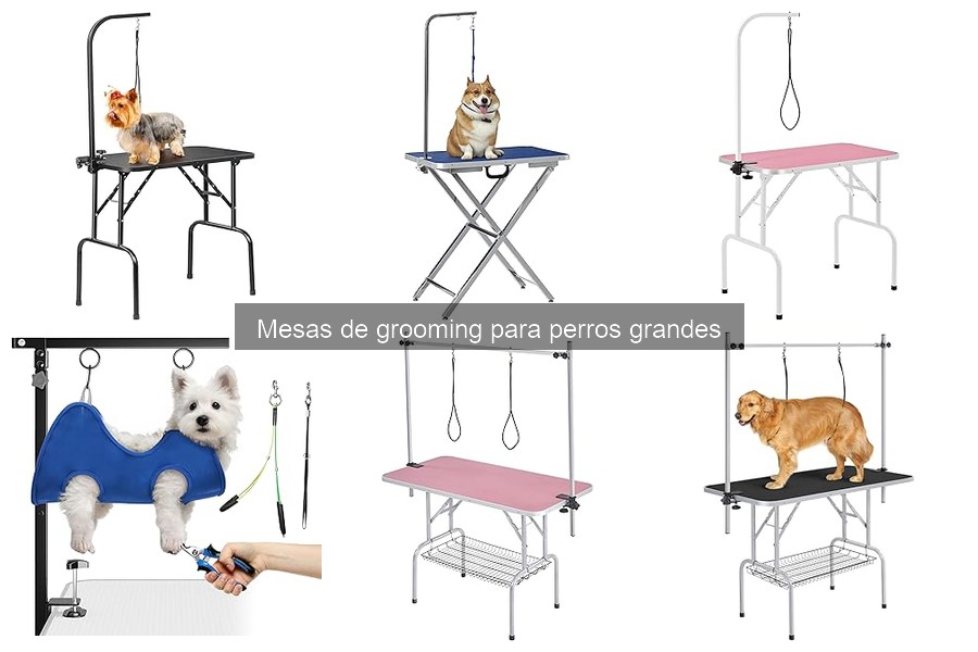 Mantenimiento de mesas de grooming para perros grandes