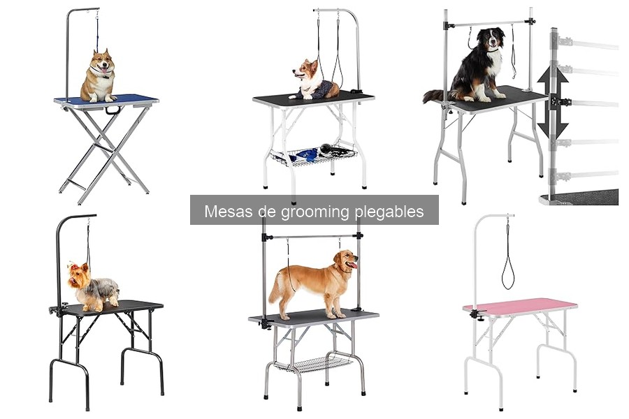 Mantenimiento de Mesas de Grooming Plegables para Mascotas
