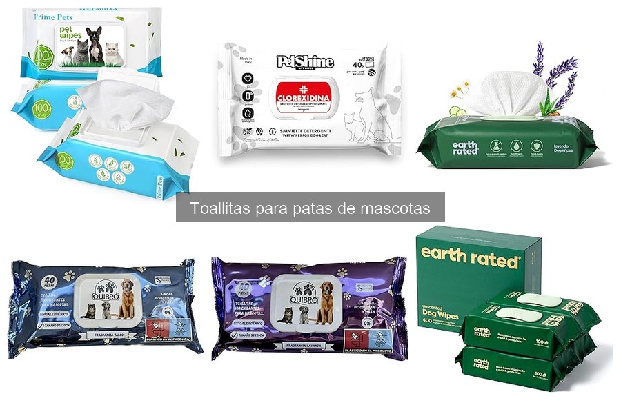Mantenimiento de patas de mascotas: cuidados esenciales