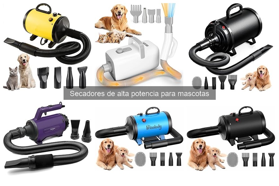 Mantenimiento de secadores de alta potencia para mascotas