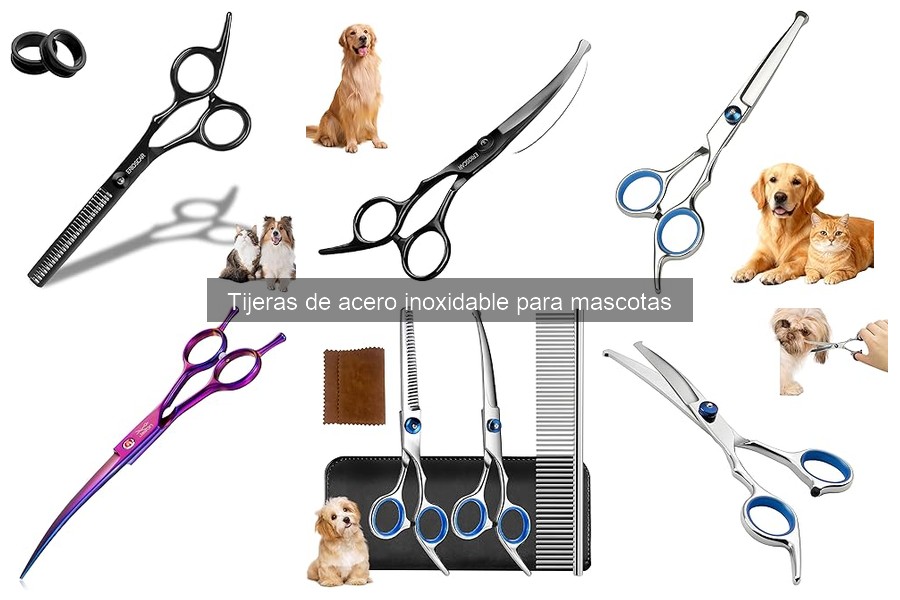 Mantenimiento de tijeras de acero inoxidable para grooming