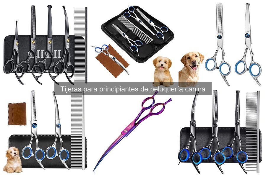 Mantenimiento de tijeras de peluquería canina: guía completa