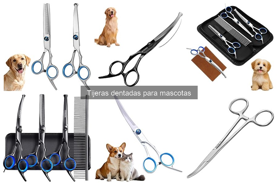 Mantenimiento de tijeras dentadas para mascotas: Guía útil