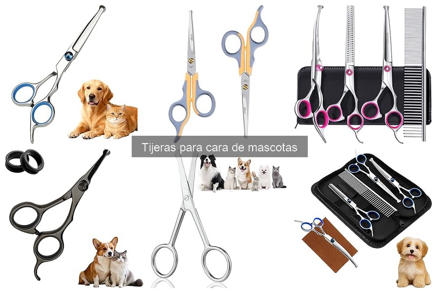 Mantenimiento de tijeras para cara de mascotas: ¡Optimiza su uso!