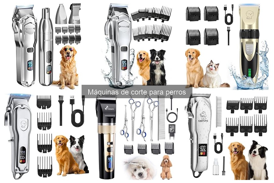 Mantenimiento y limpieza de máquinas de corte para perros