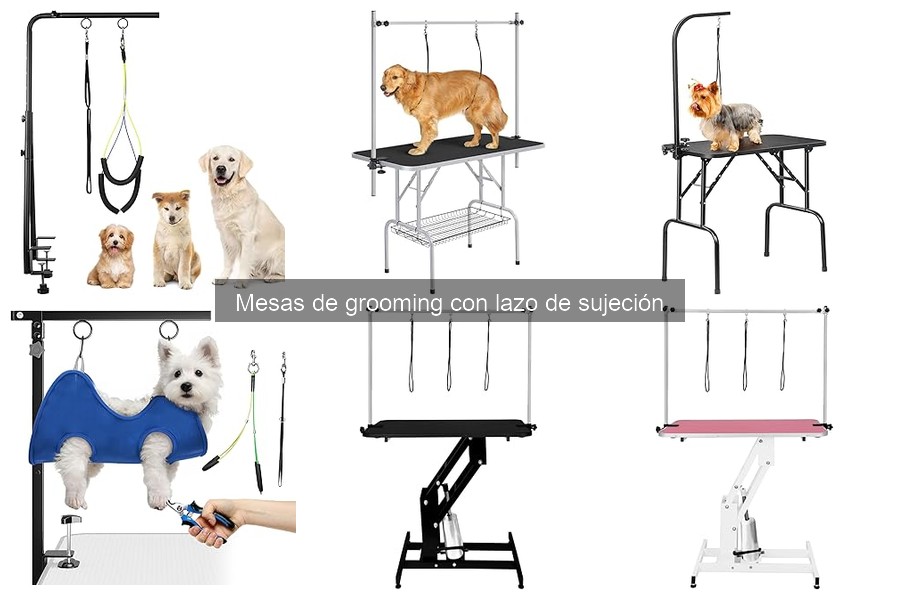 Mantenimiento y limpieza de mesas de grooming en casa