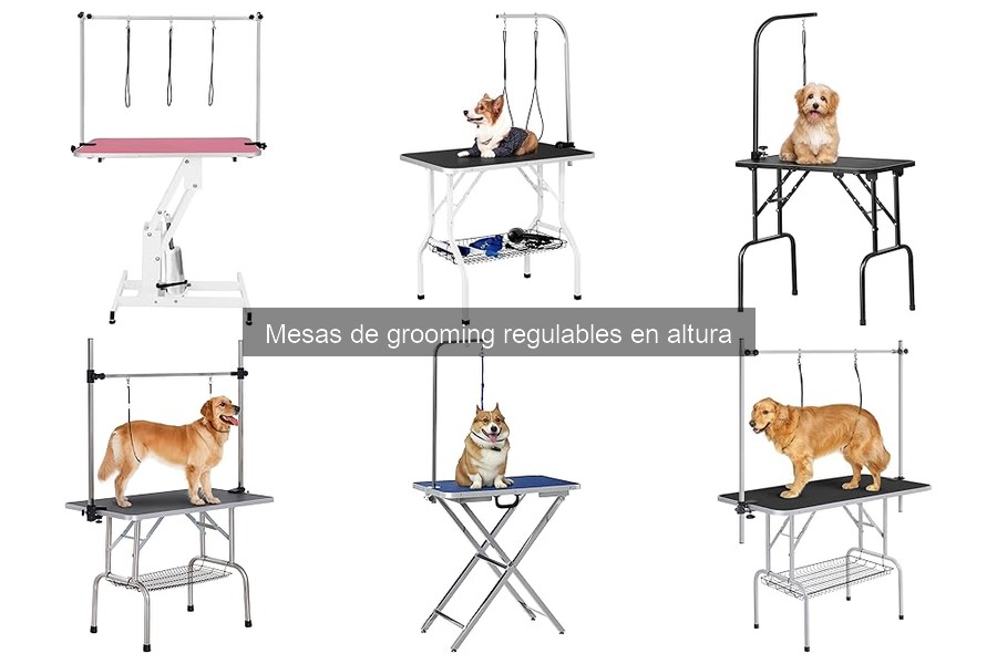Mantenimiento y limpieza de mesas de grooming regulables