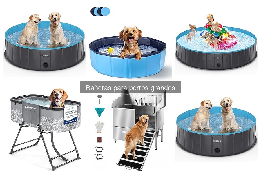 Materiales ideales para bañeras de perros grandes