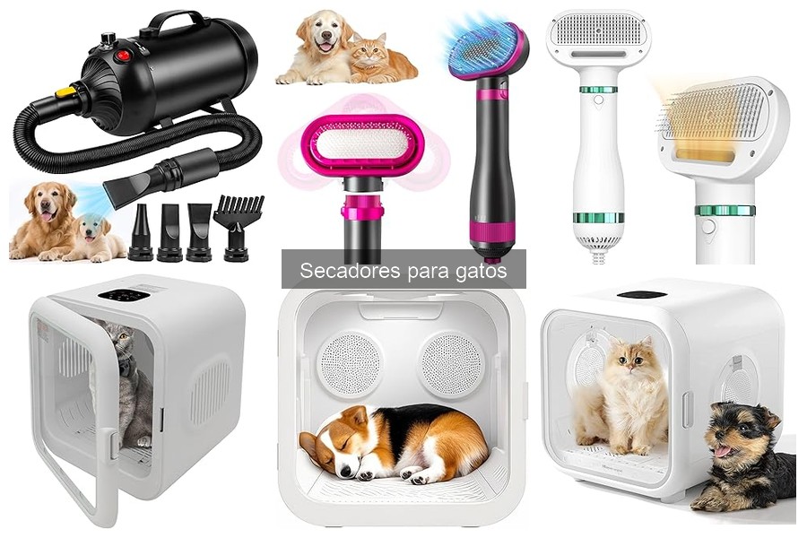 Mejora el Secado de tu Gato con Estos Accesorios