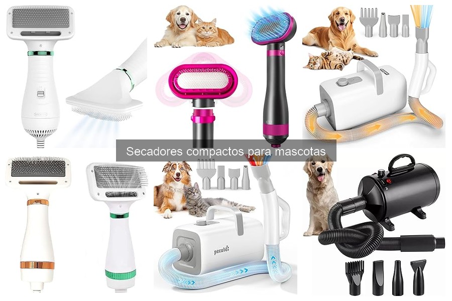 Mejora el secado de tu mascota con estos accesorios útiles