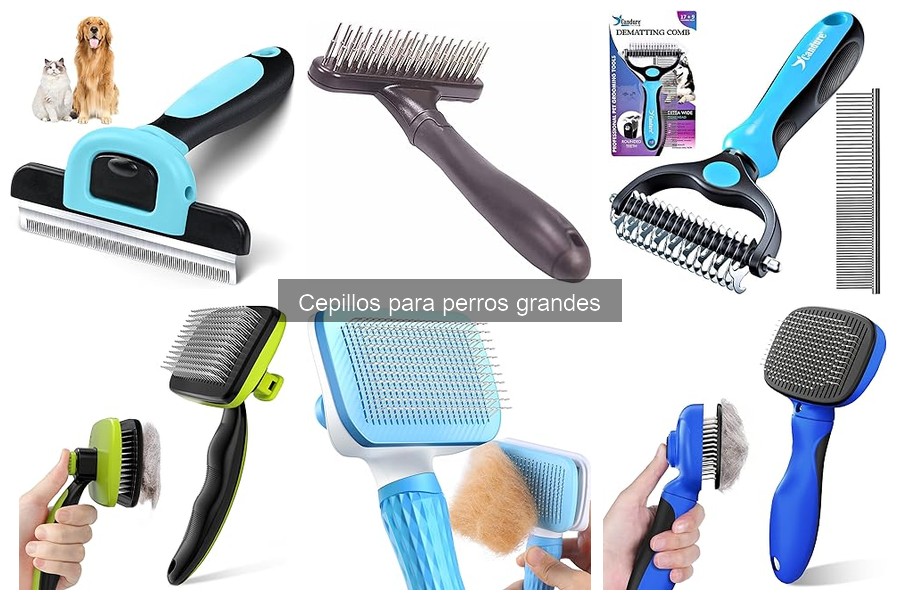 Mejora la Experiencia de Cepillado para Perros Grandes