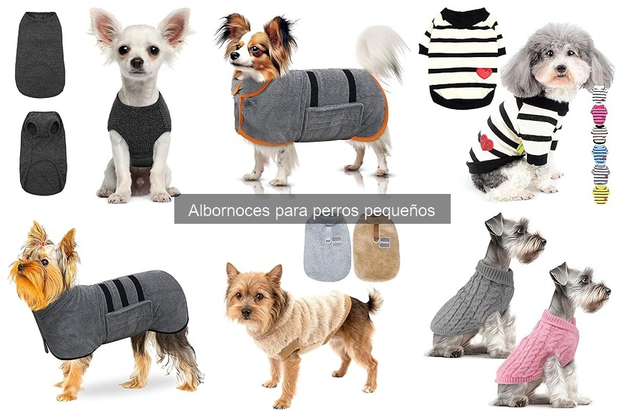 Mejores albornoces para perros pequeños en 2023