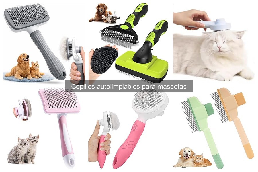 Mejores cepillos autolimpiables para mascotas según veterinarios
