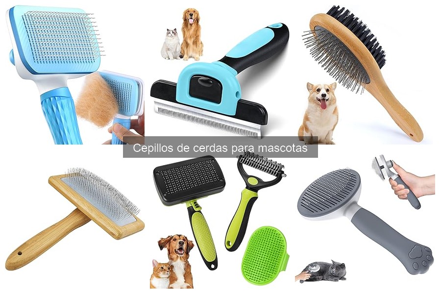 Mejores cepillos de cerdas para gatos con pelo largo