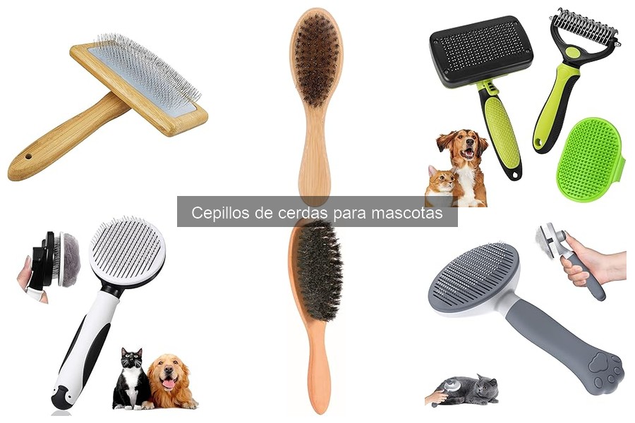 Mejores cepillos de cerdas para mascotas alérgicas