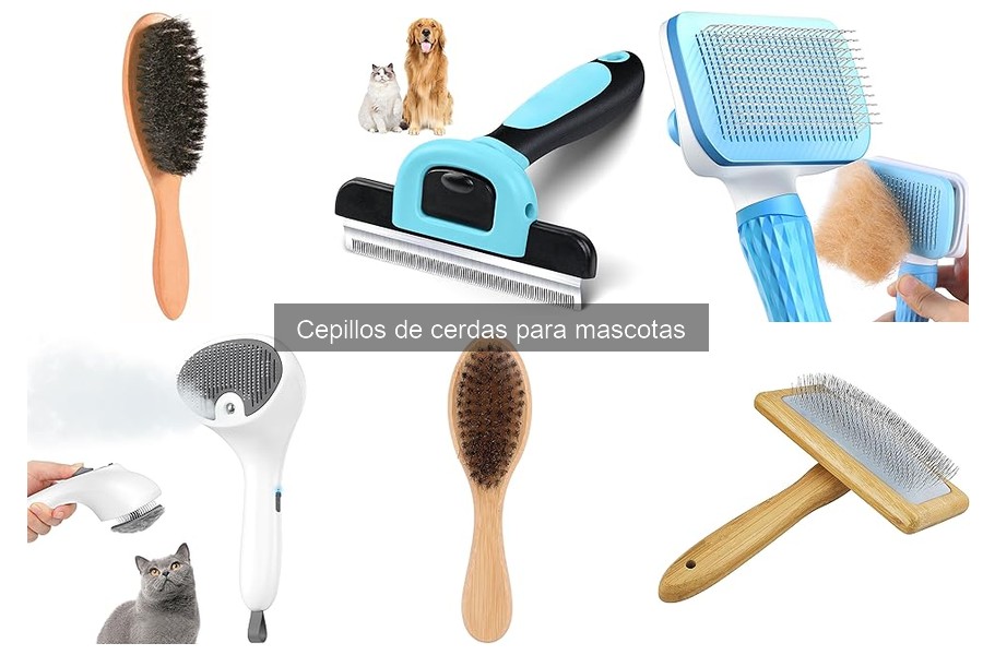 Mejores cepillos de cerdas para perros mestizos en 2023