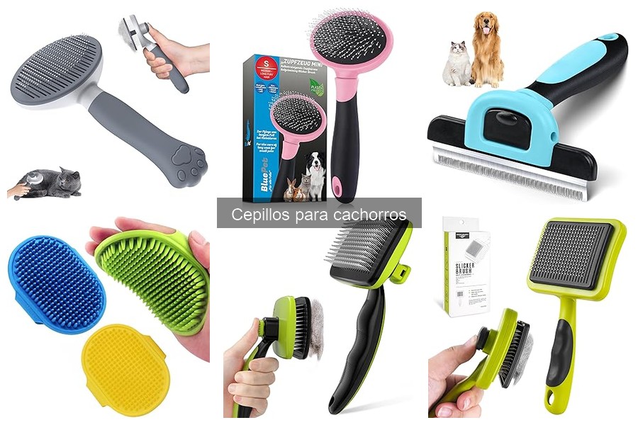 Mejores cepillos para eliminar pelo suelto de cachorros