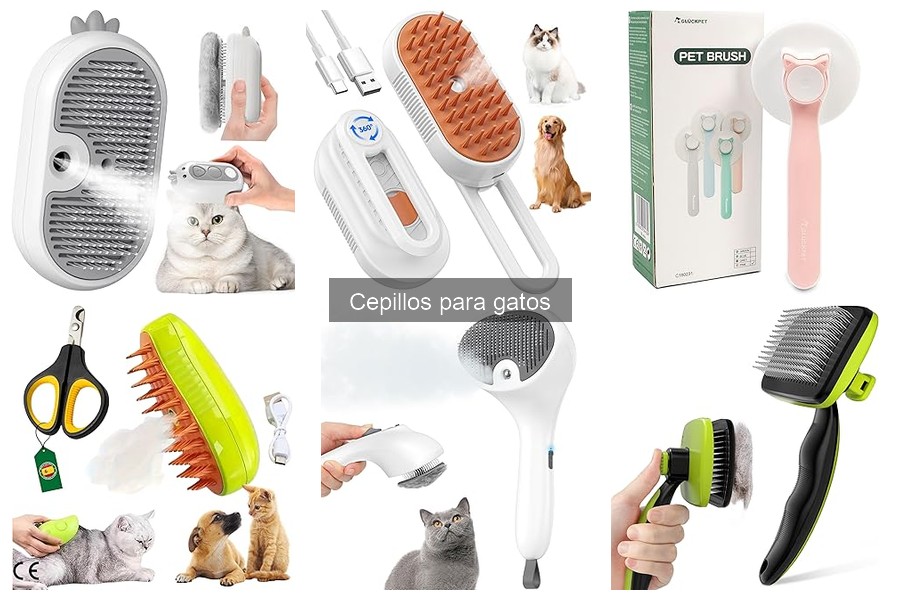 Mejores cepillos para gatos de pelo corto: comparativa 2023