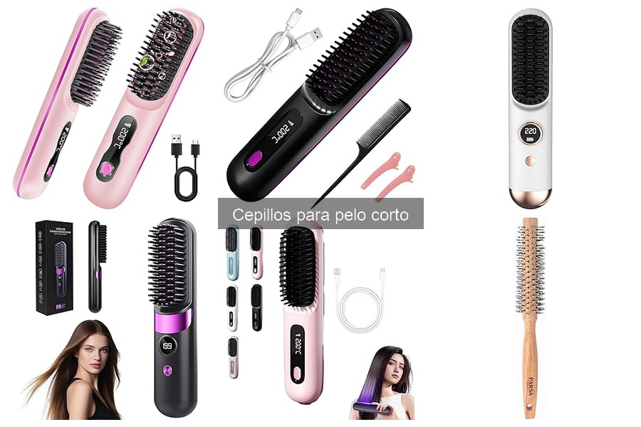 Mejores cepillos para perros de pelo corto: opciones efectivas