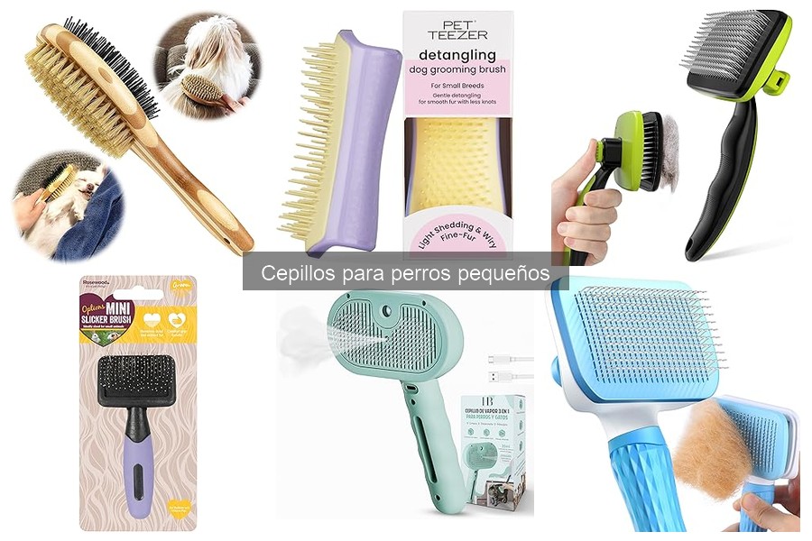 Mejores cepillos para perros pequeños: características y tipos