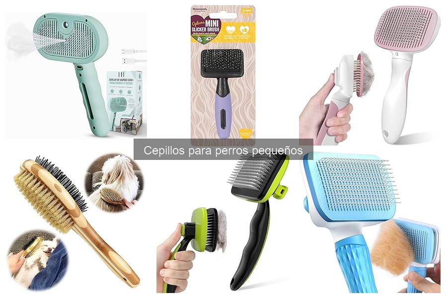 Mejores cepillos para perros pequeños con pelo corto