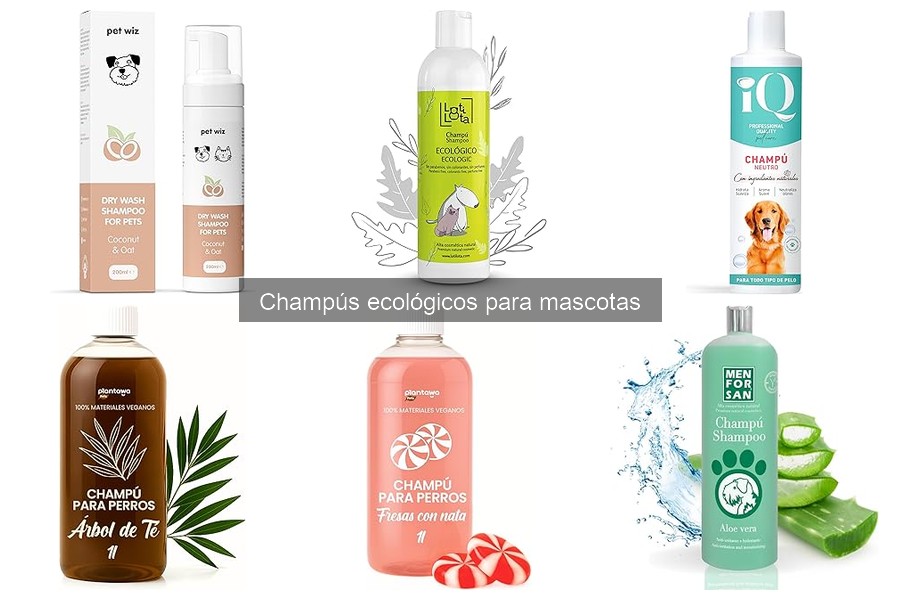 Mejores champús ecológicos para gatos - Guía de compra
